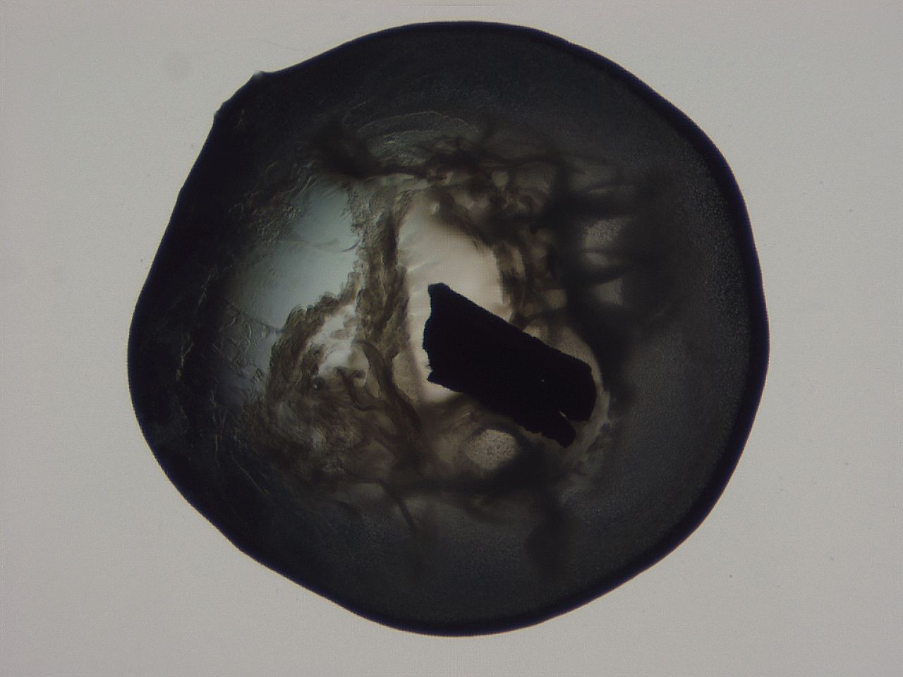 04ba_G10_ImagerDefaults_3.jpg