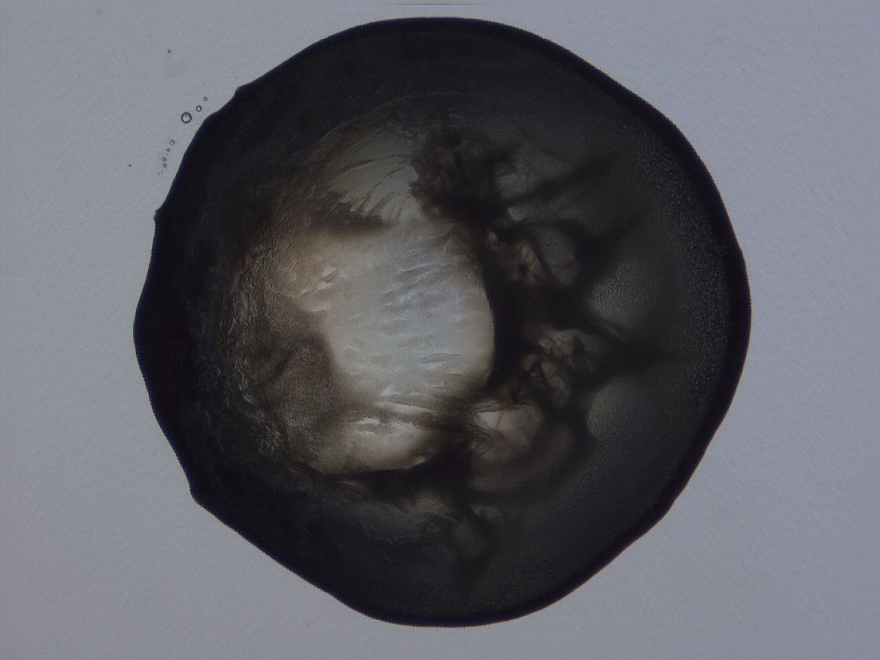 04ba_G11_ImagerDefaults_3.jpg