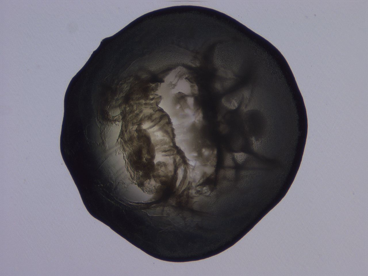 04ba_G12_ImagerDefaults_3.jpg