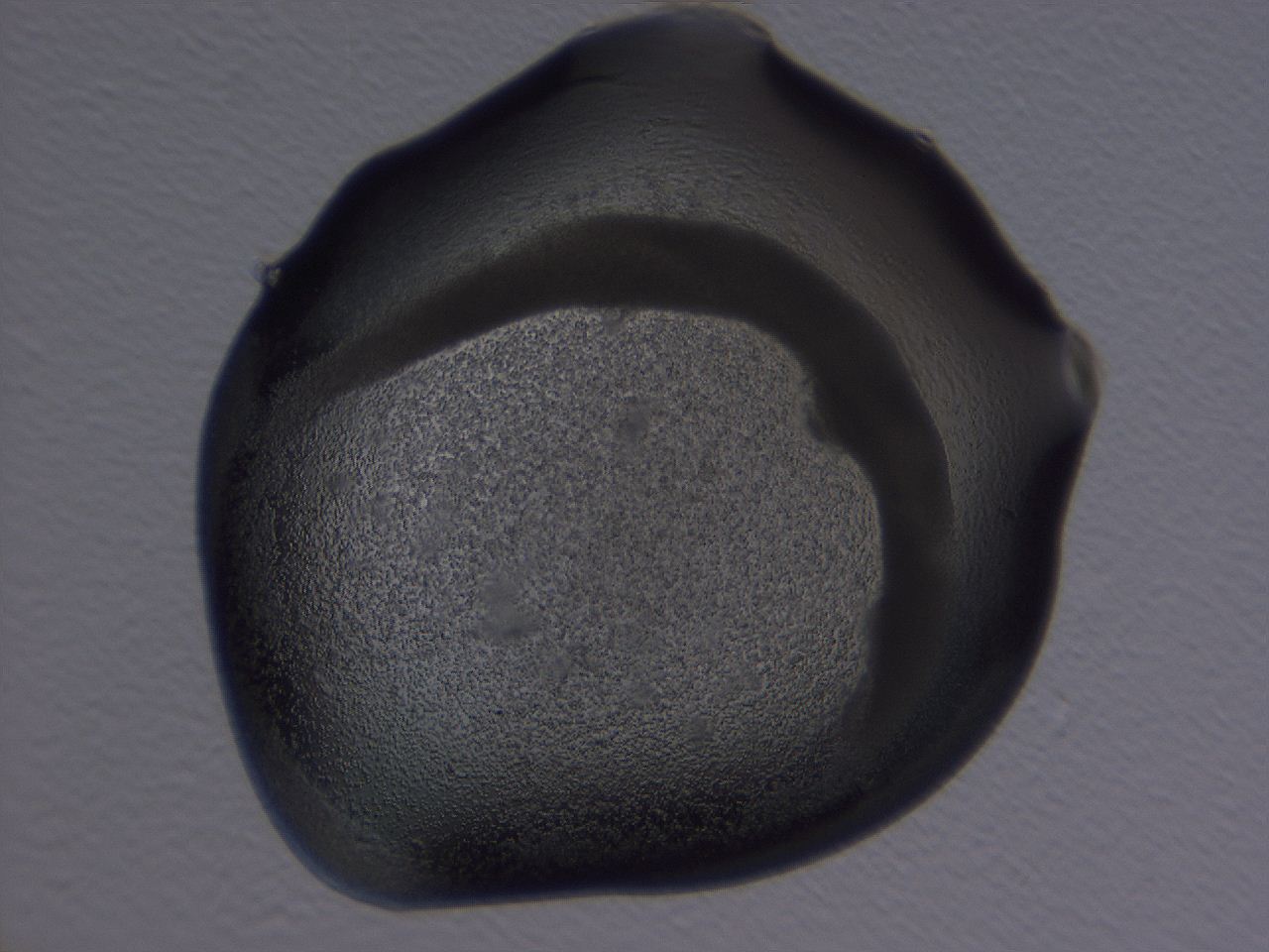 04ba_H1_ImagerDefaults_3.jpg