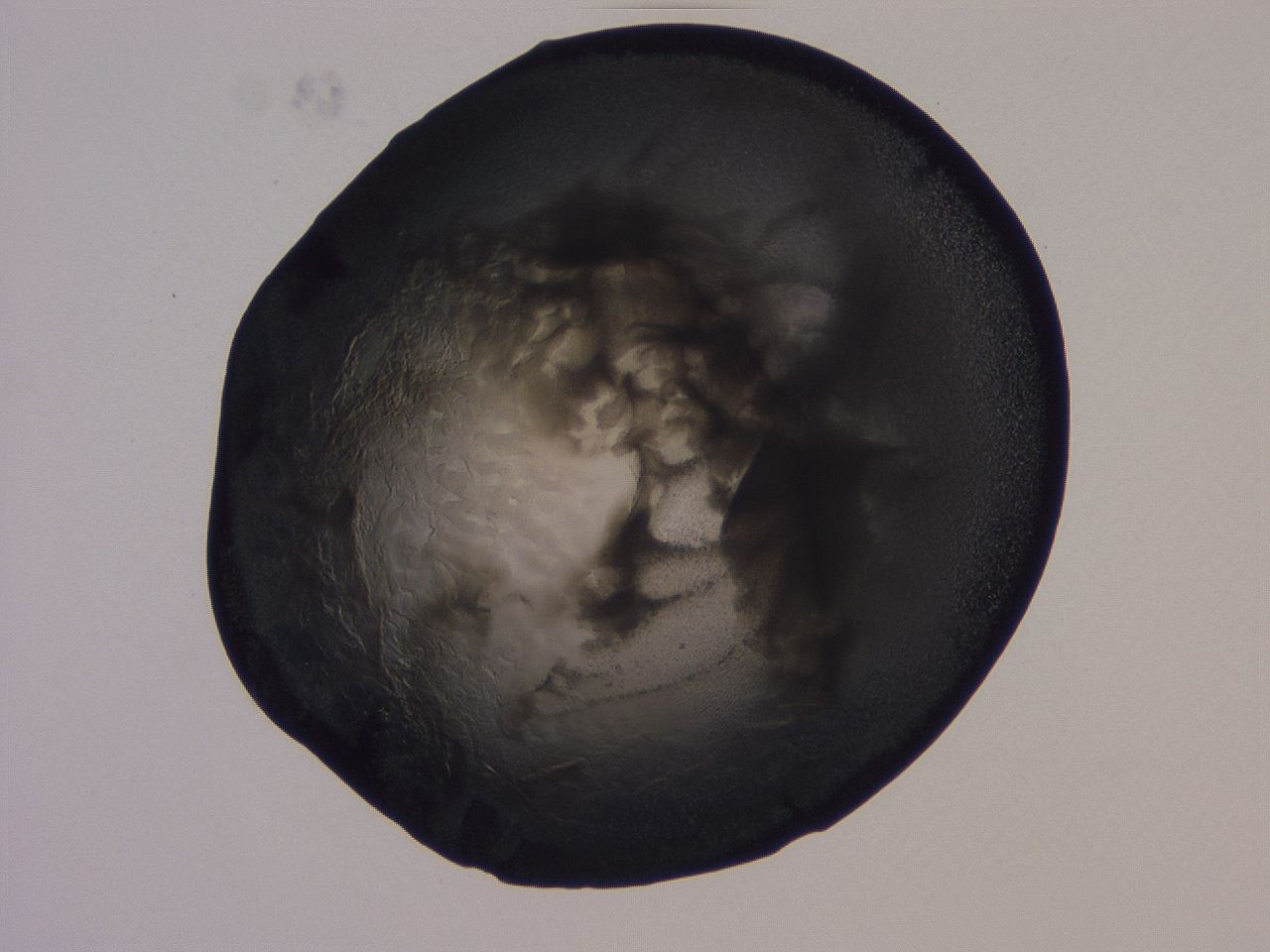 04ba_H10_ImagerDefaults_3.jpg