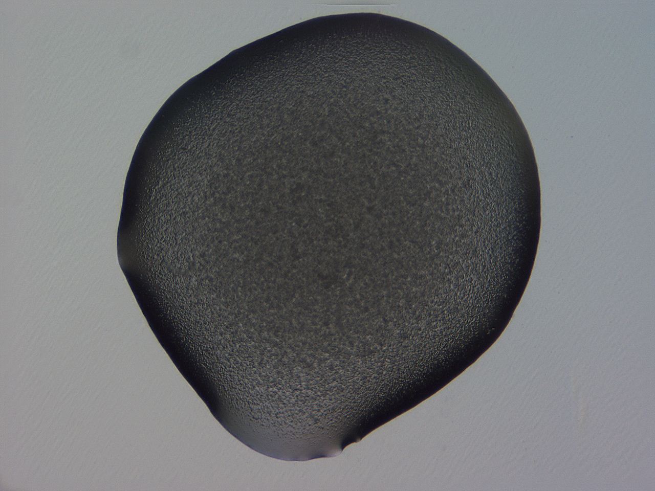 04ba_H11_ImagerDefaults_3.jpg