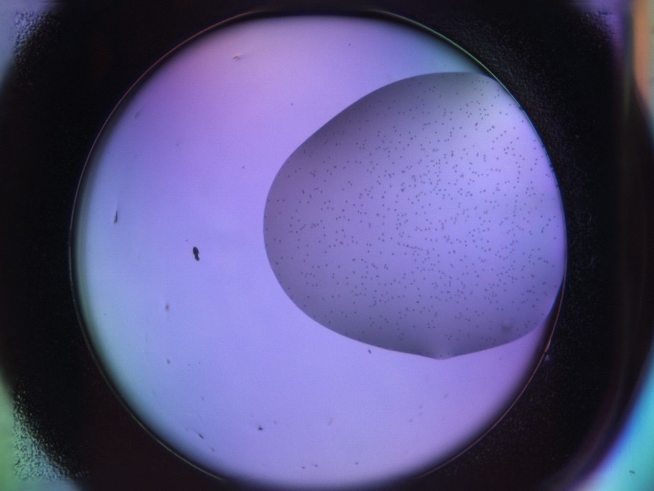 04bb_A7_ImagerDefaults_6.jpg