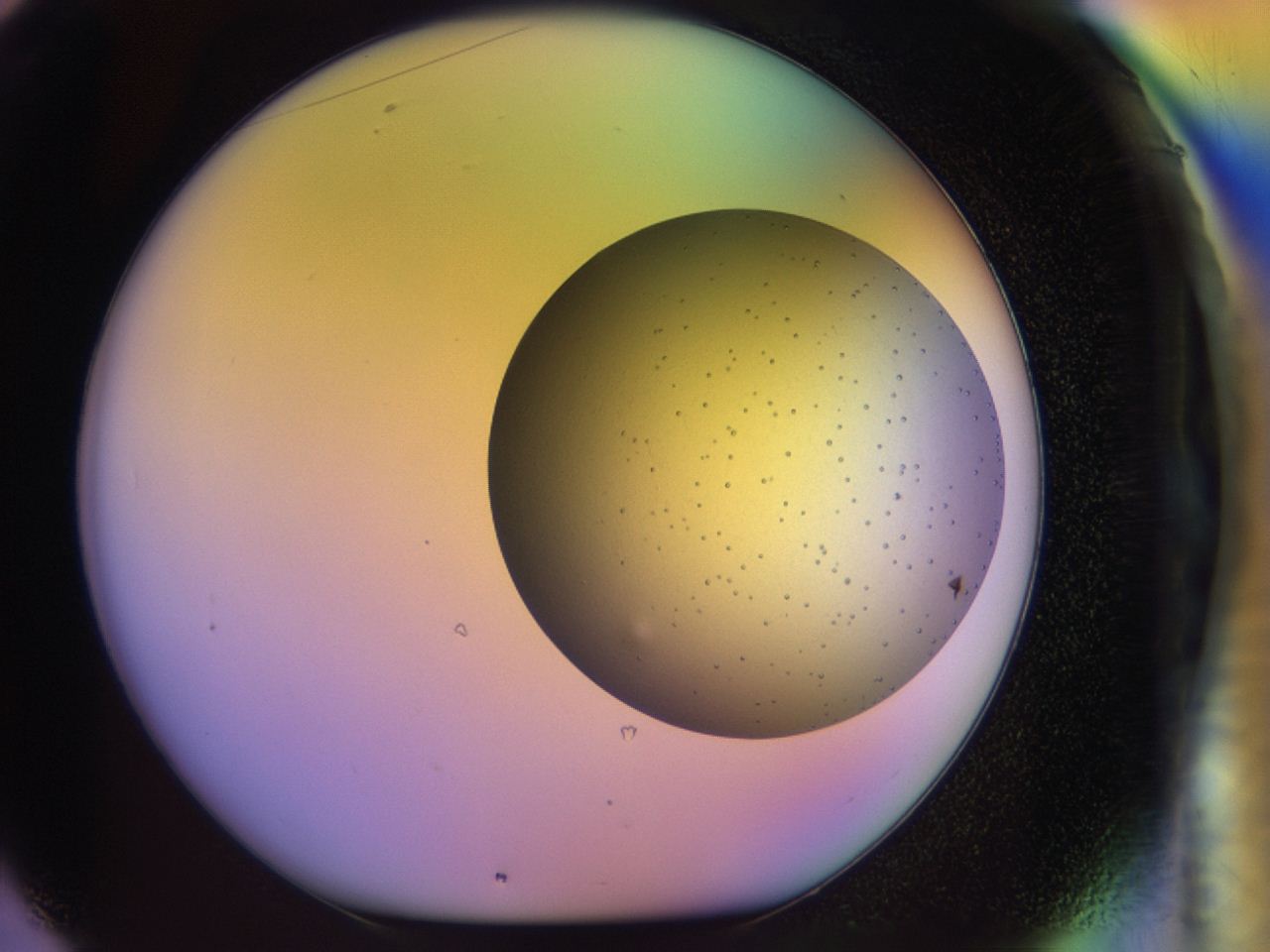 04bc_F1_ImagerDefaults_6.jpg