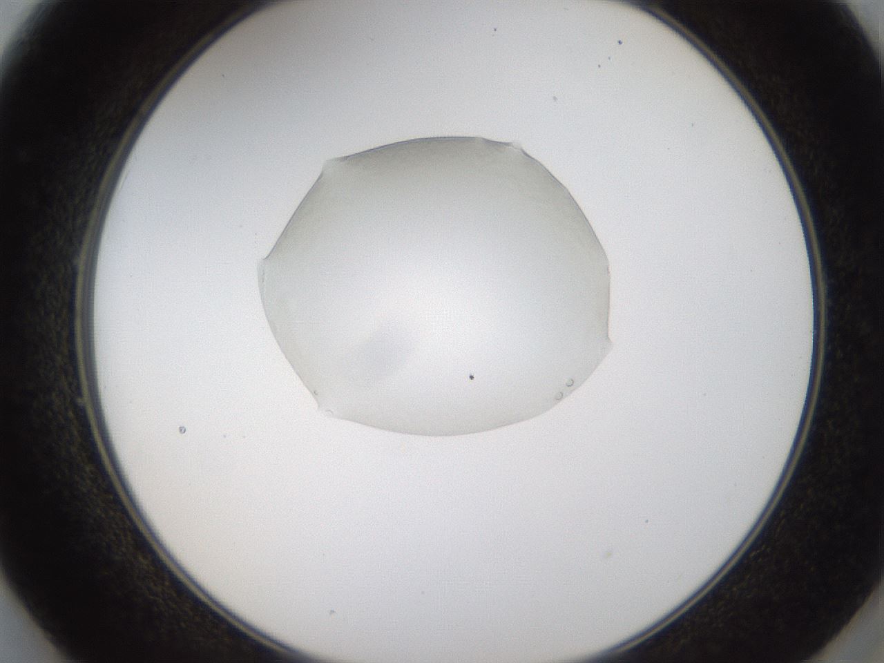 folderID70_plateID3070_batchID17848_wellNum49_profileID1_d2_r265689_ef.jpg