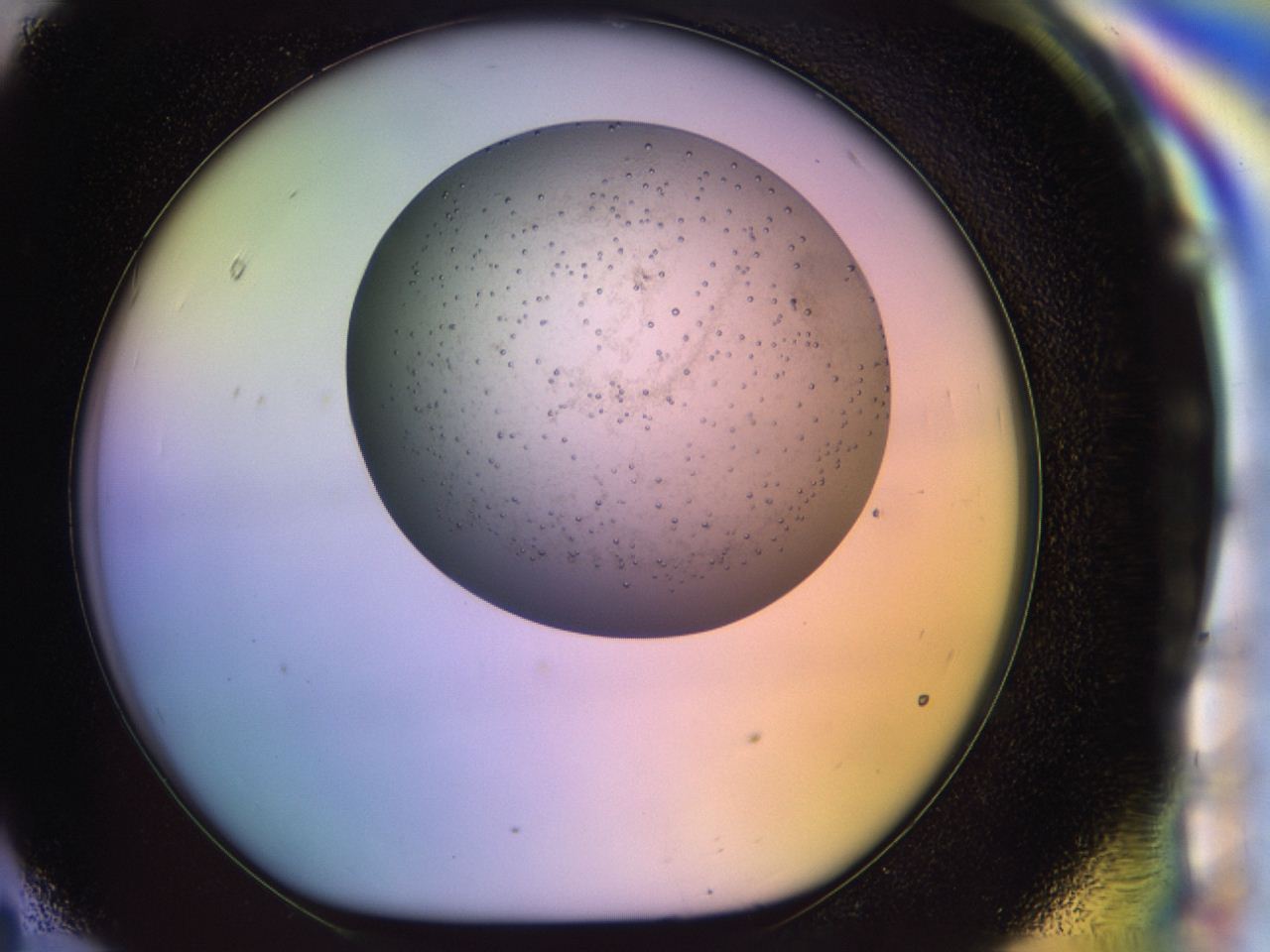04bd_H11_ImagerDefaults_6.jpg