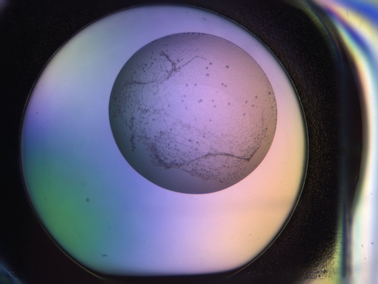 04bd_H10_ImagerDefaults_6.jpg