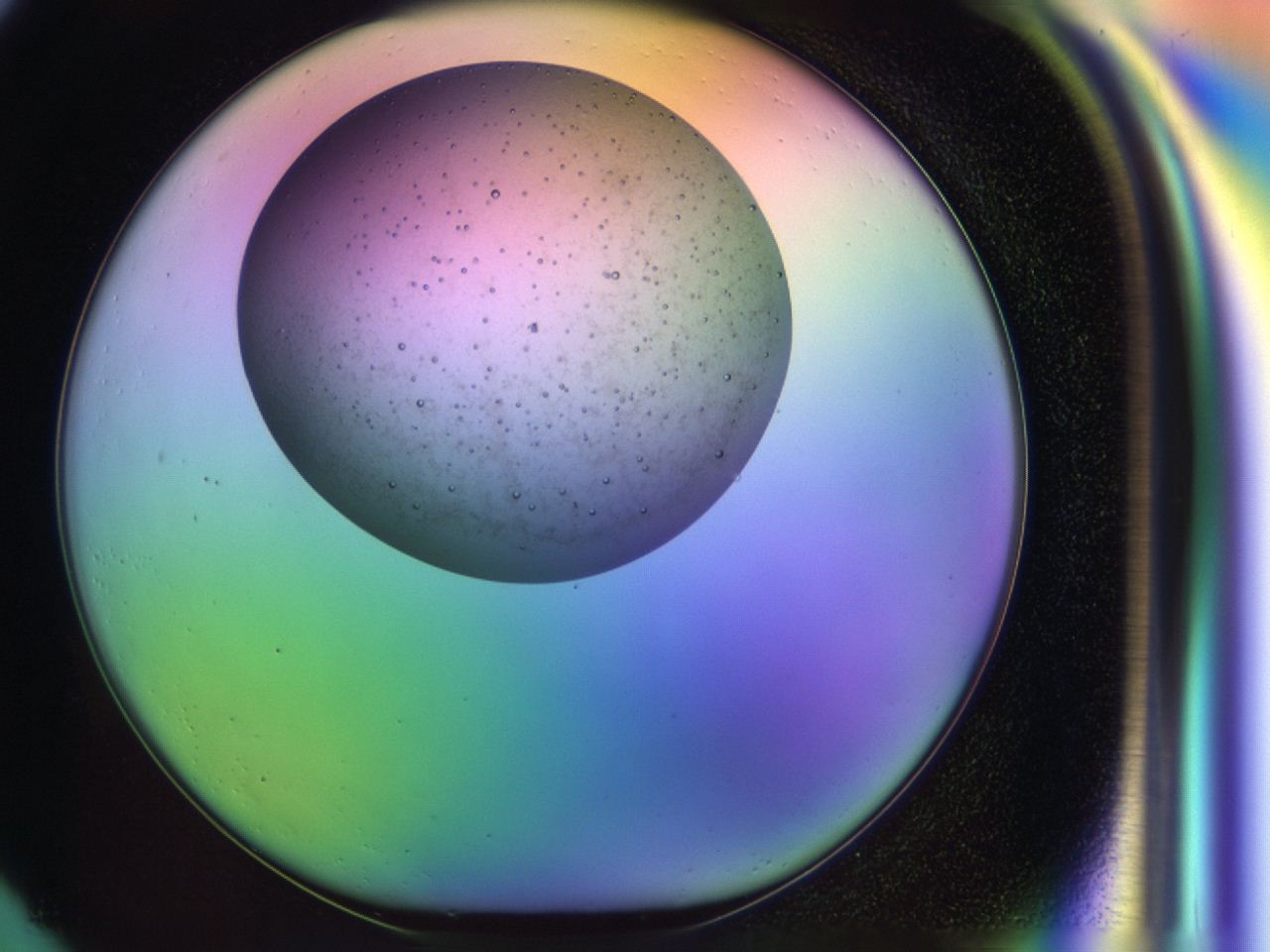 04be_G1_ImagerDefaults_6.jpg