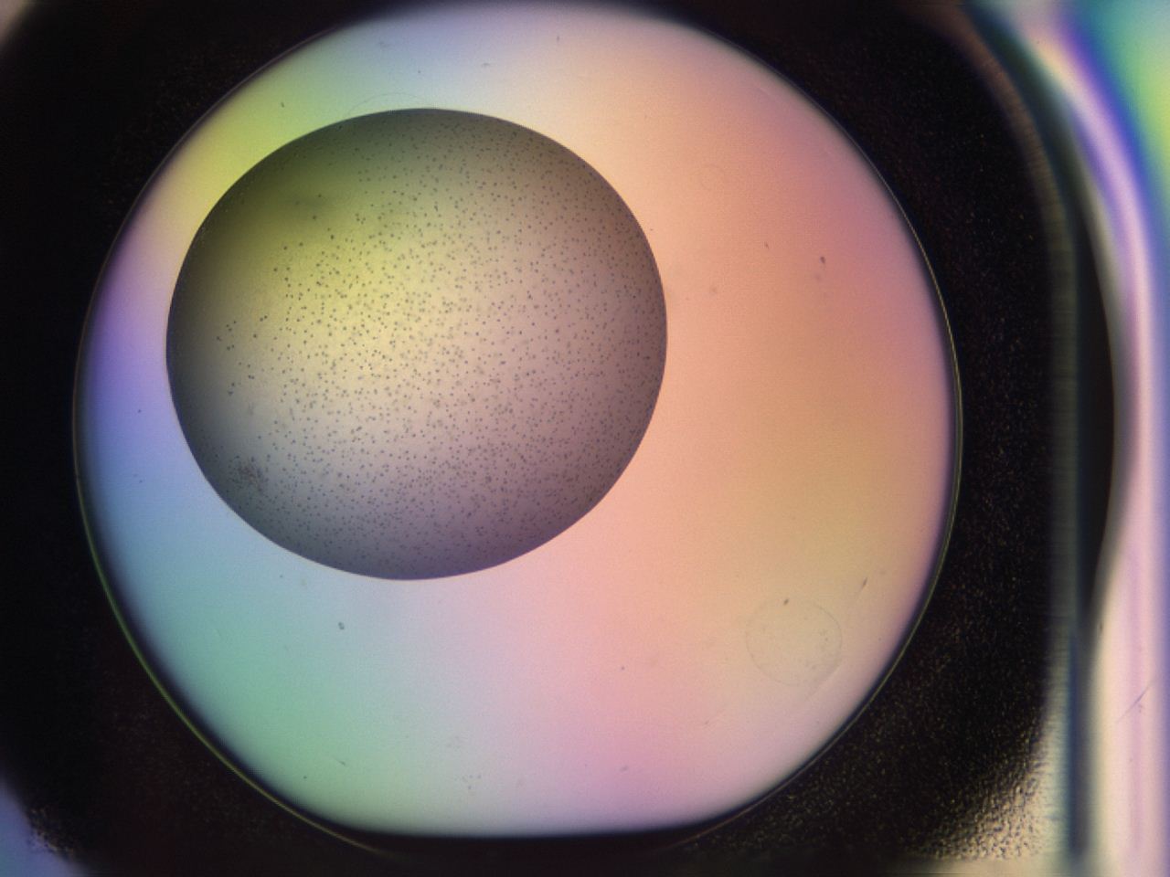 04be_F3_ImagerDefaults_6.jpg