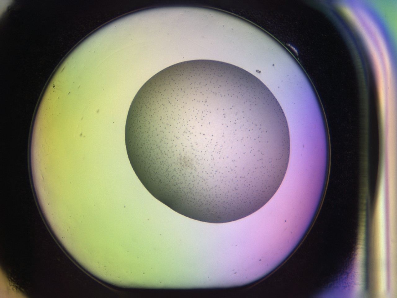 04be_F9_ImagerDefaults_6.jpg