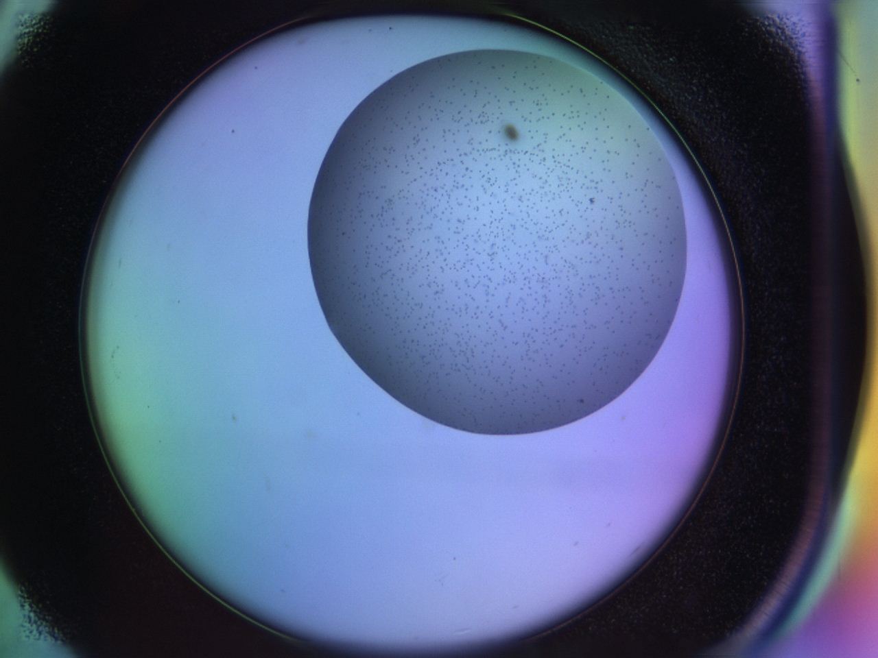 04bf_C5_ImagerDefaults_6.jpg