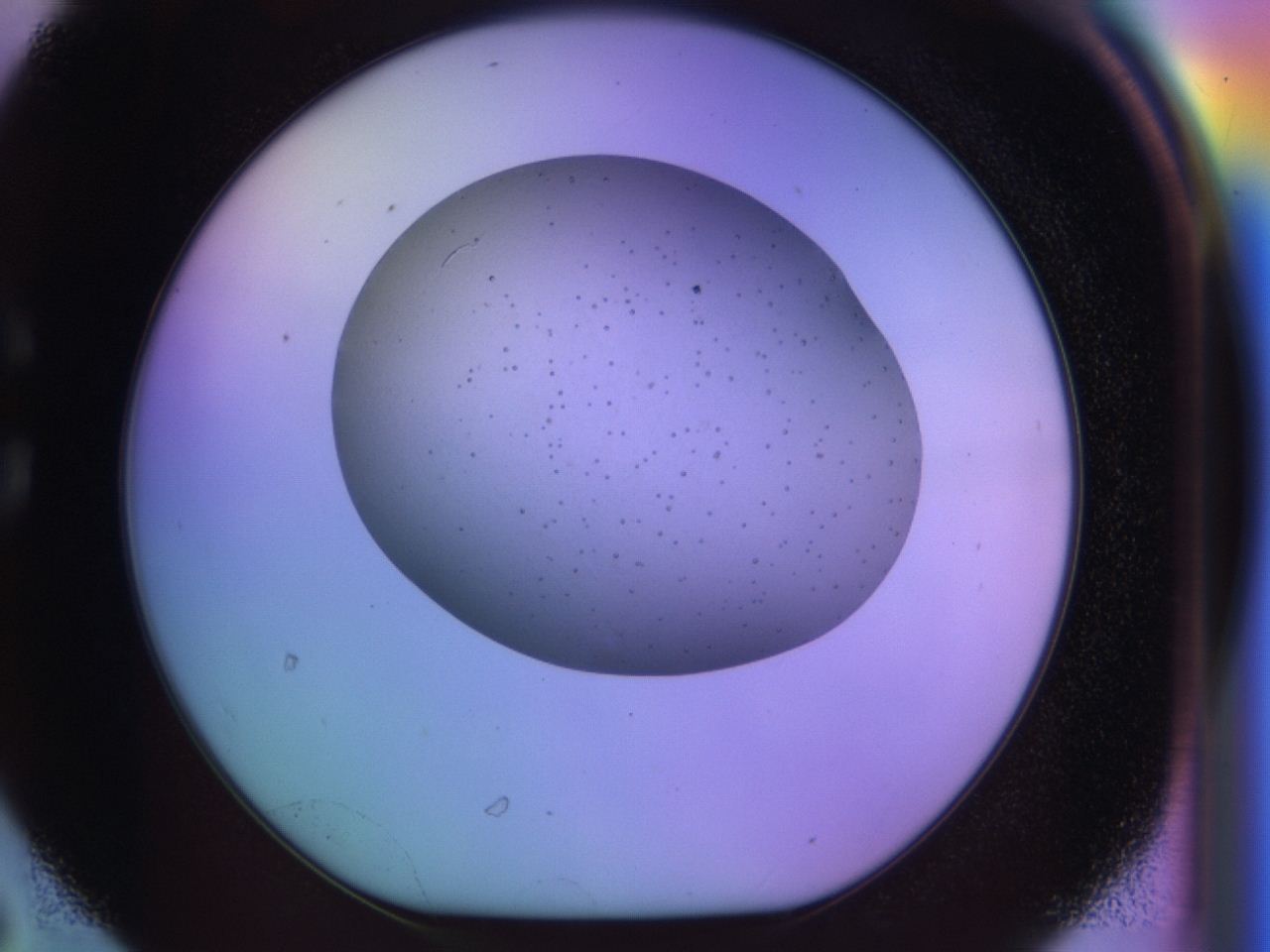 04bg_C6_ImagerDefaults_6.jpg