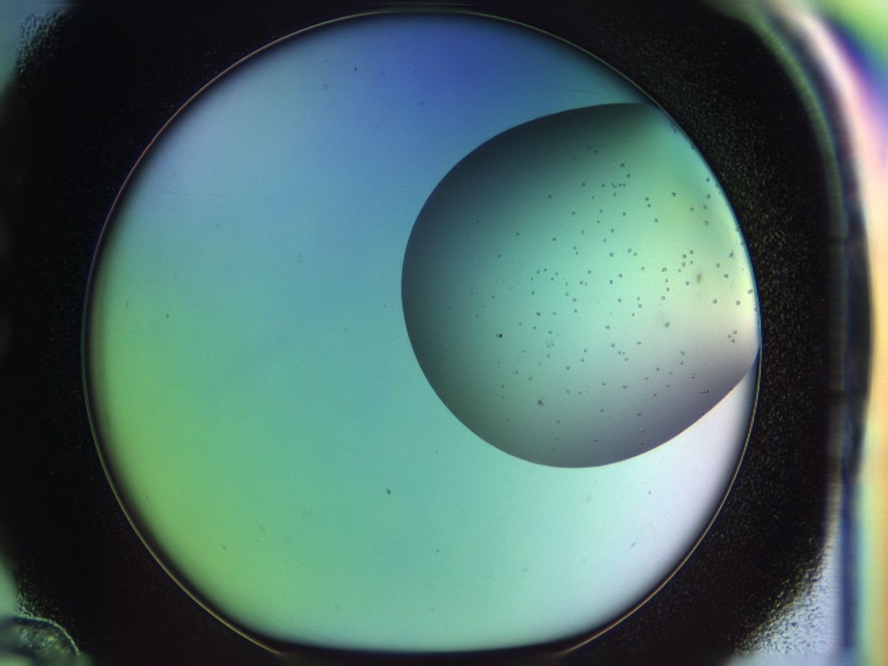 04bg_C12_ImagerDefaults_6.jpg