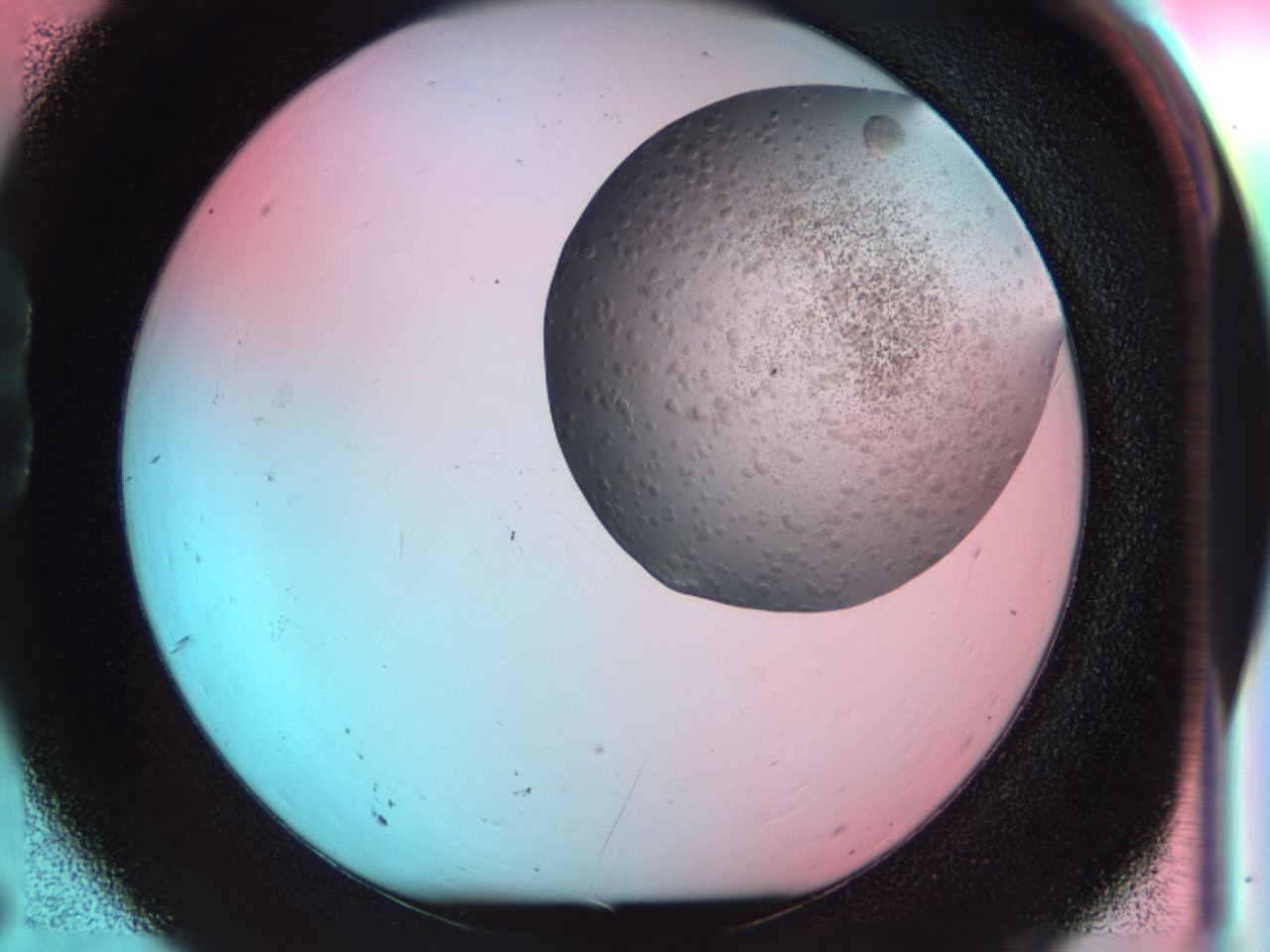 04bo_B6_ImagerDefaults_6.jpg