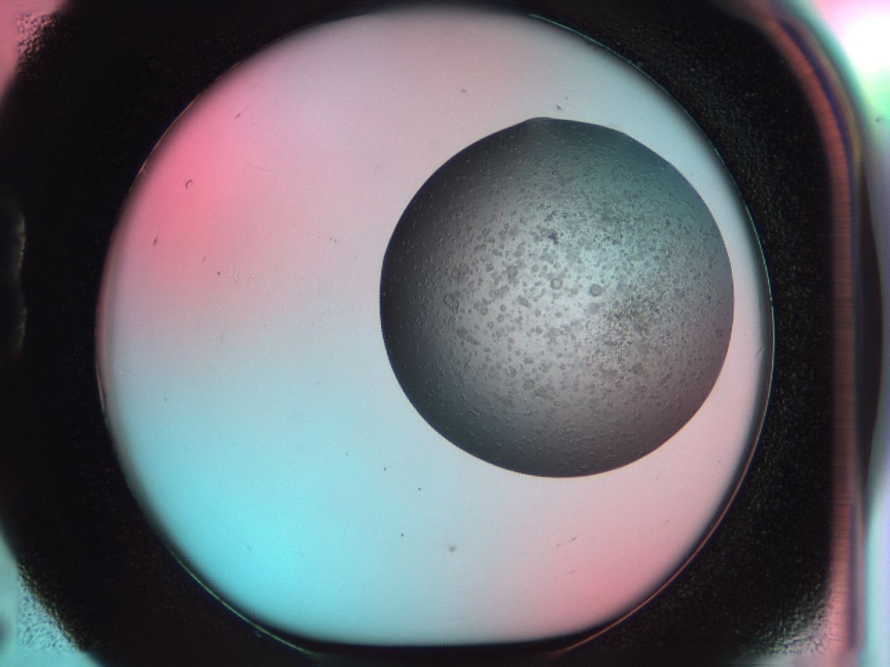 04bs_B5_ImagerDefaults_6.jpg