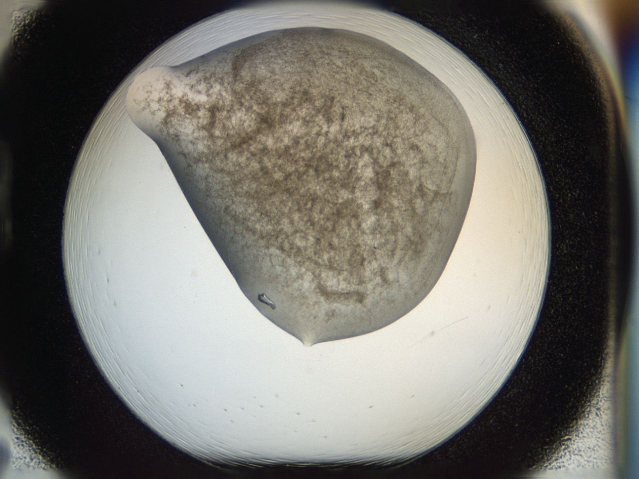04bz_B7_ImagerDefaults_8.jpg