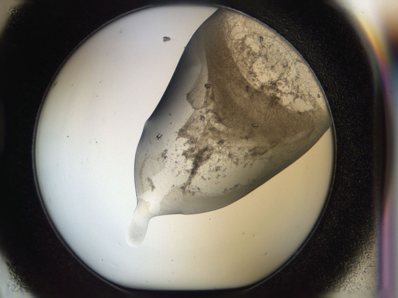 04bz_D8_ImagerDefaults_6.jpg