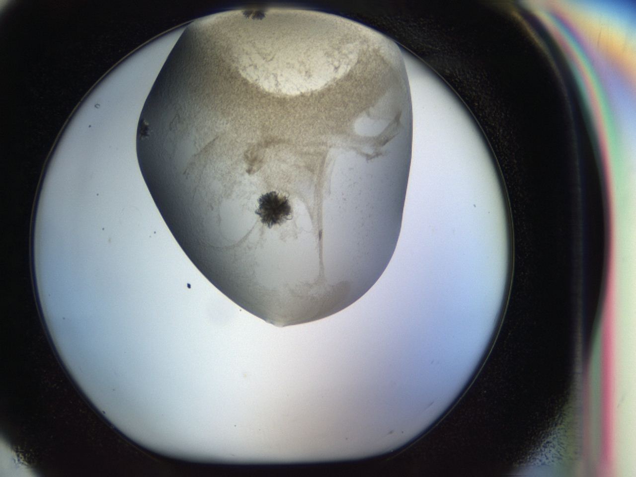 04bz_H4_ImagerDefaults_6.jpg