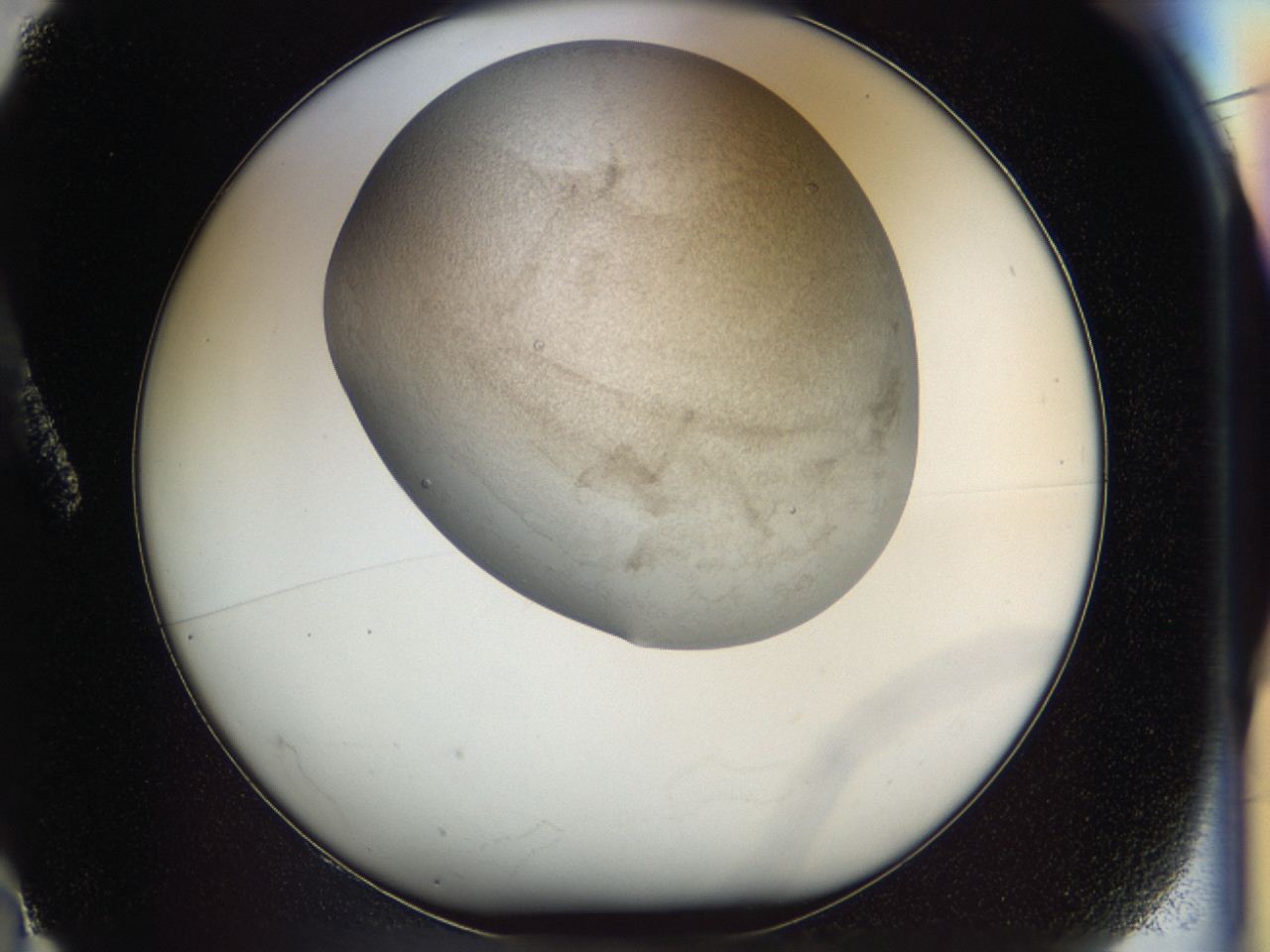 04bz_A2_ImagerDefaults_6.jpg