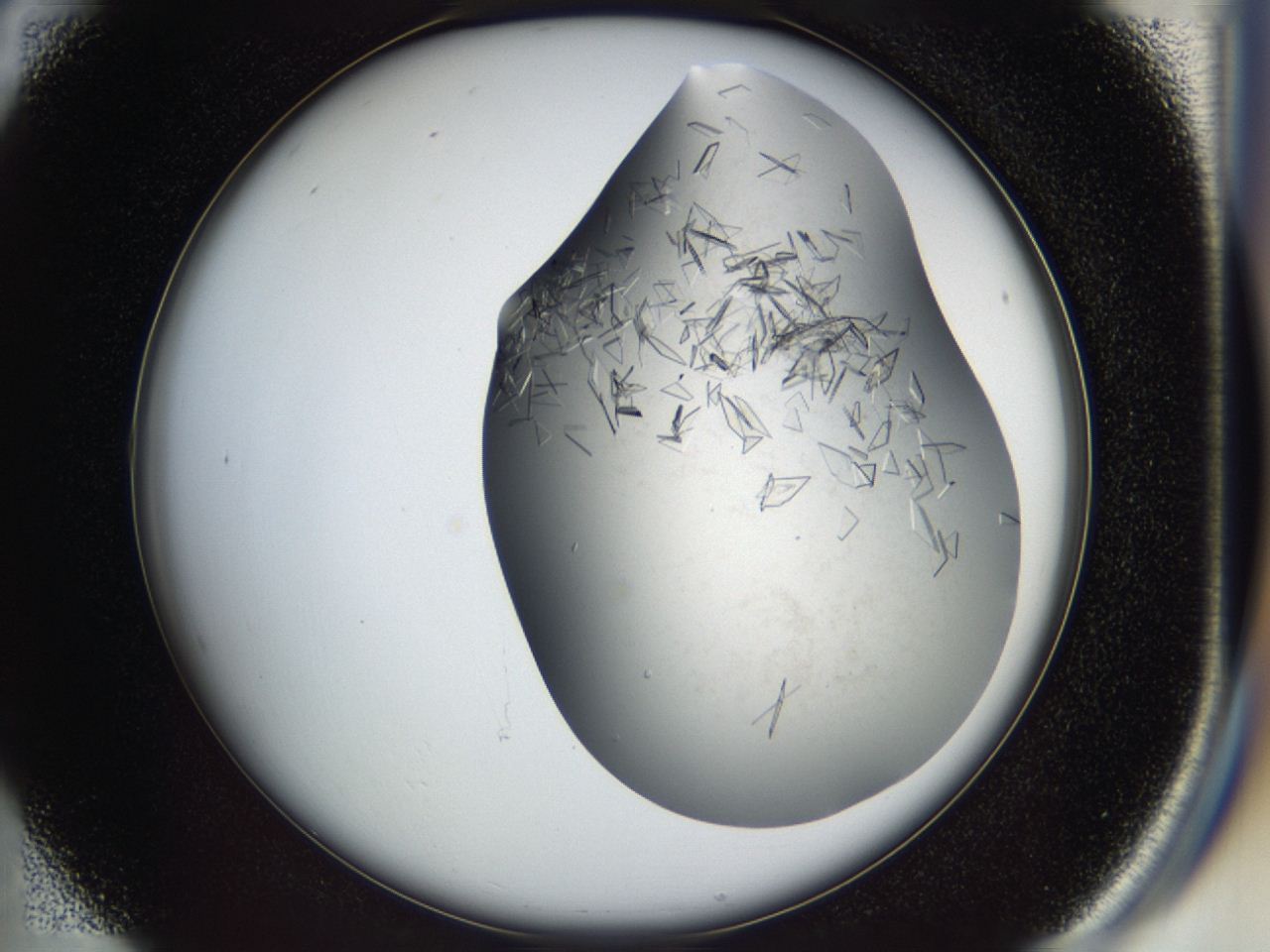 04cm_B4_ImagerDefaults_8.jpg