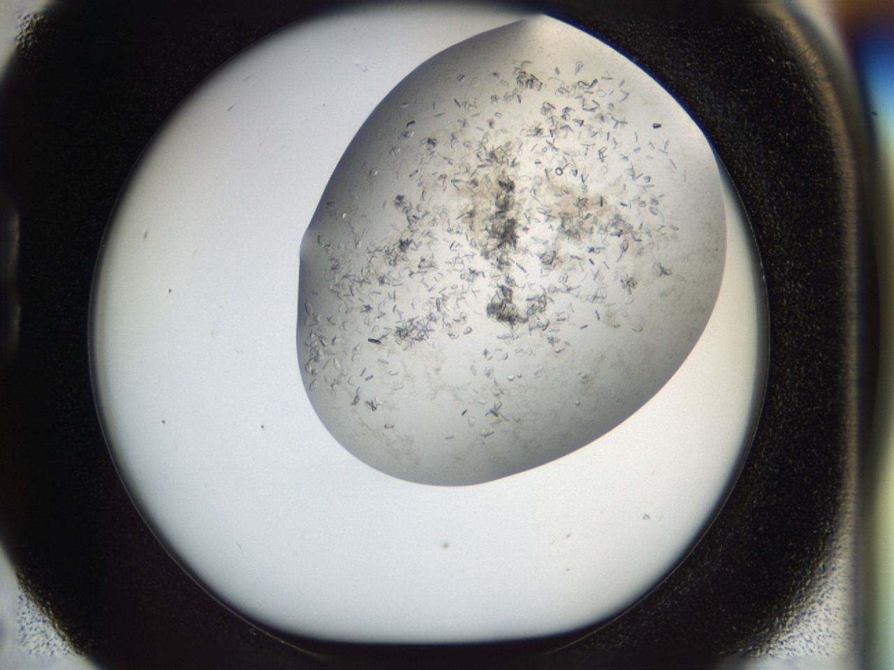 04cm_B5_ImagerDefaults_6.jpg