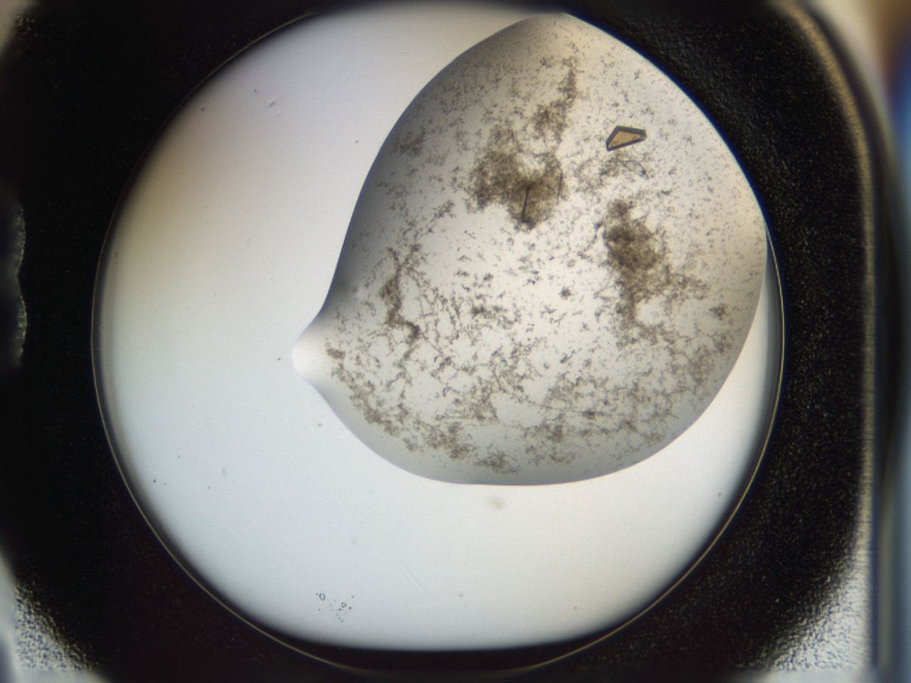 04cm_B3_ImagerDefaults_9.jpg