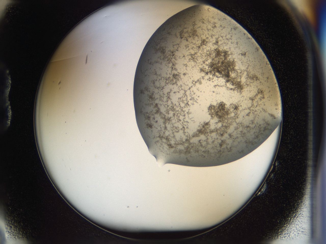 04cm_B2_ImagerDefaults_9.jpg