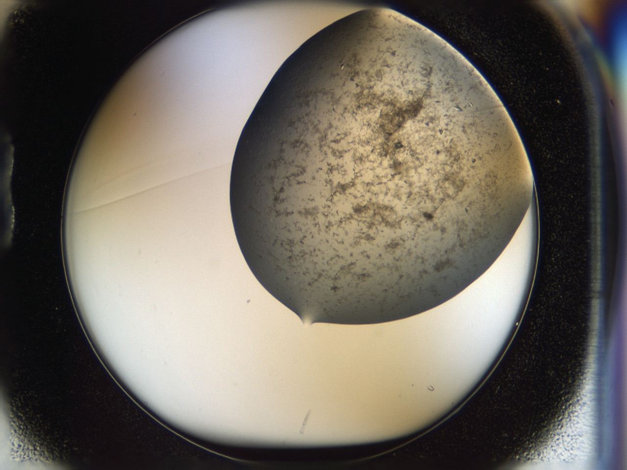 04cm_B1_ImagerDefaults_7.jpg