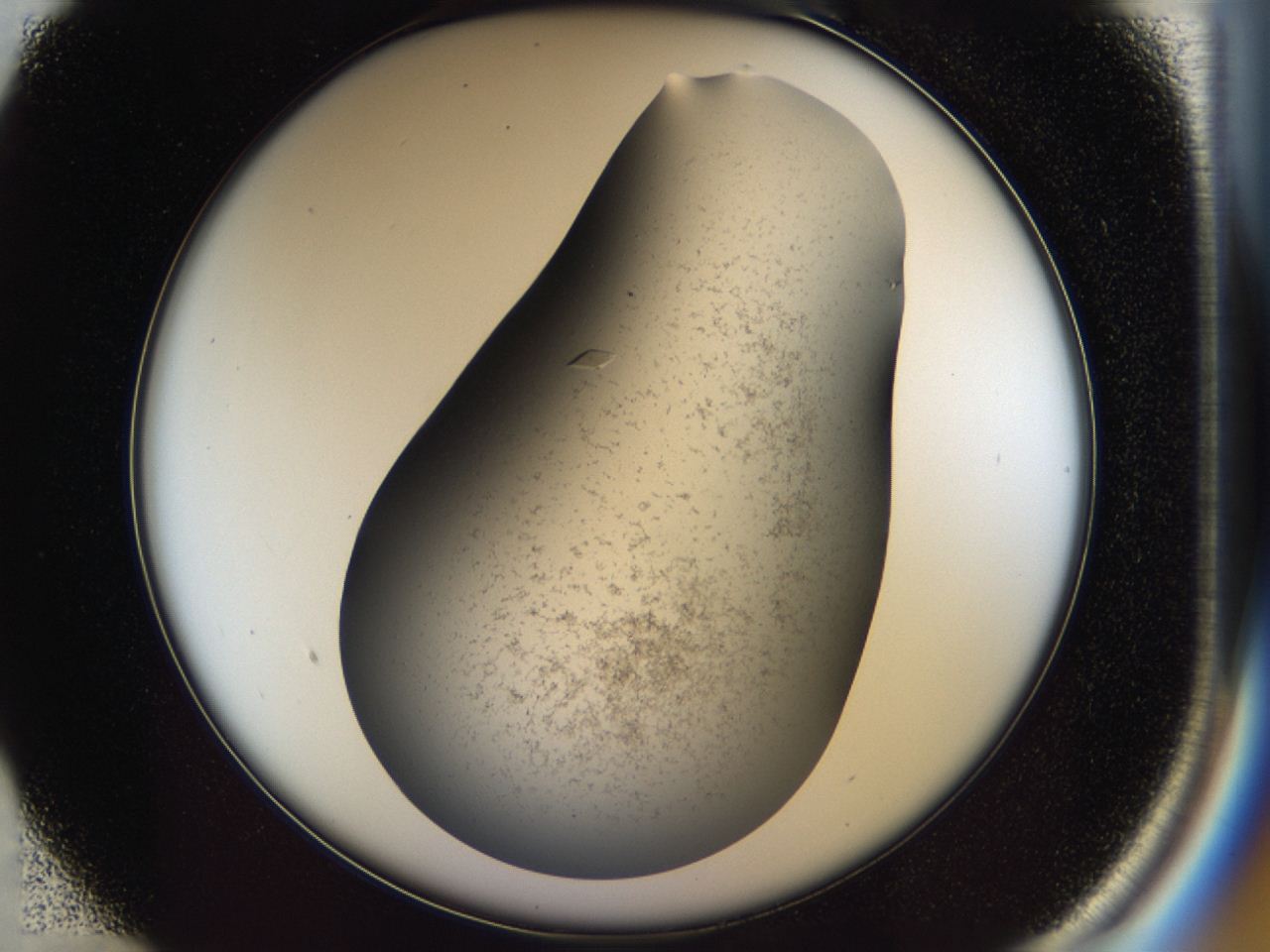 04cm_B1_ImagerDefaults_9.jpg