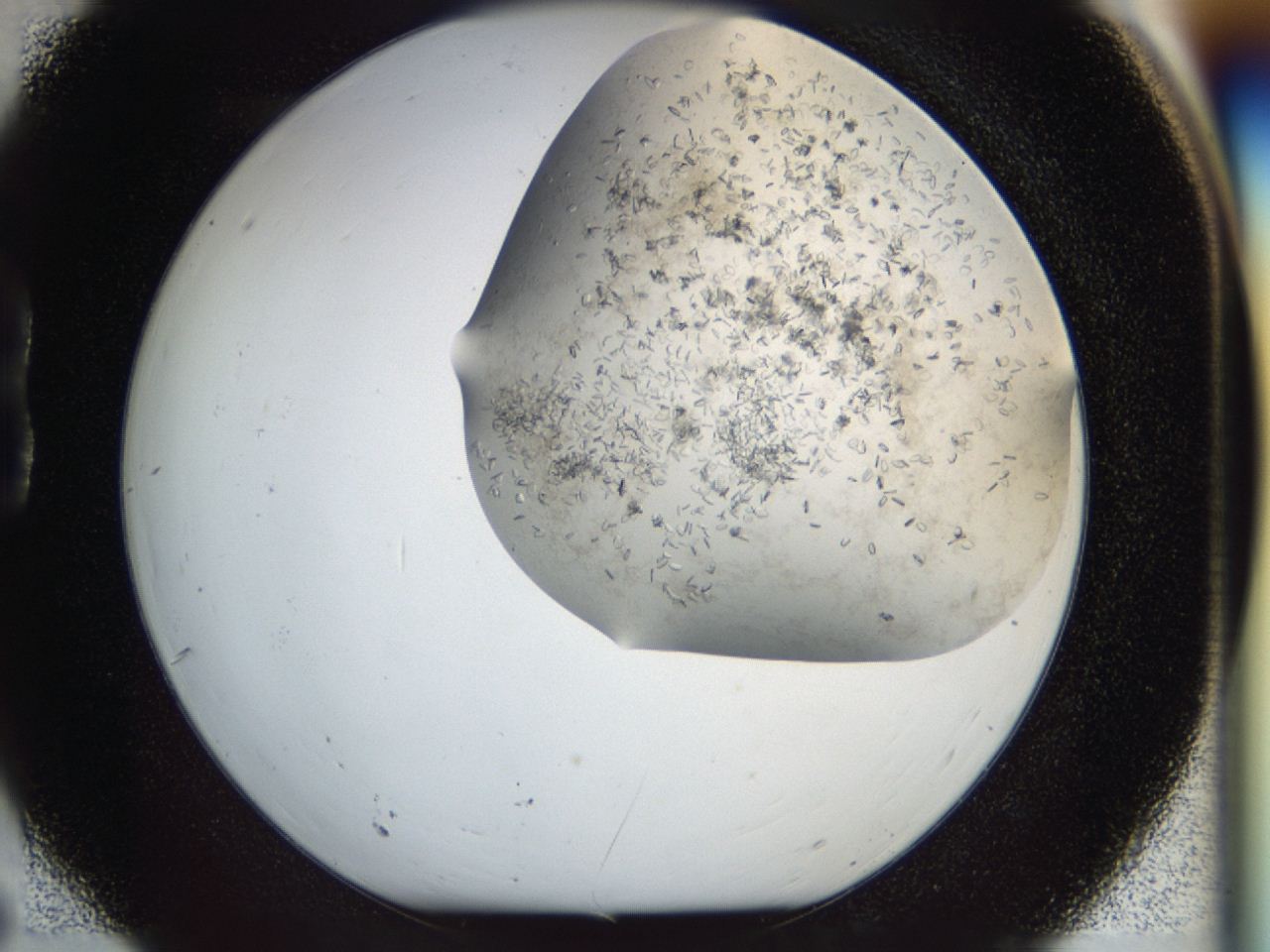04cm_B6_ImagerDefaults_7.jpg