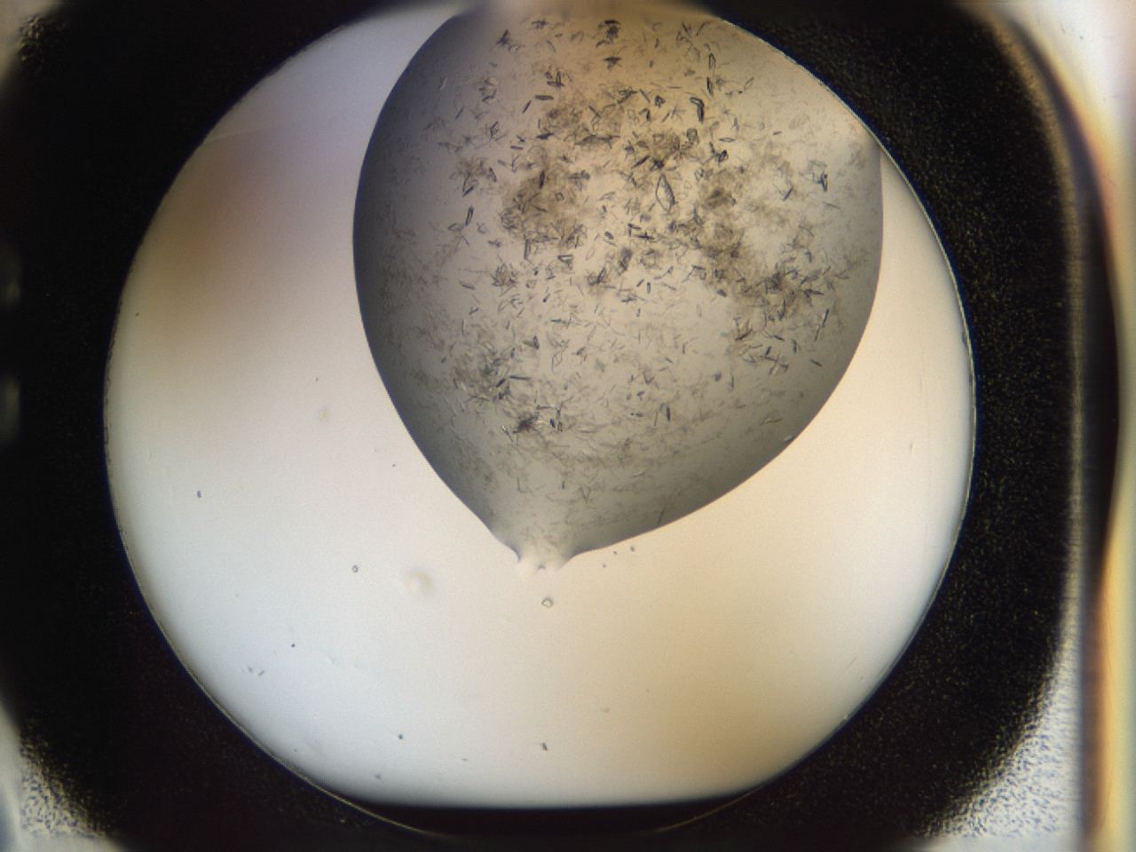 04cm_C2_ImagerDefaults_6.jpg