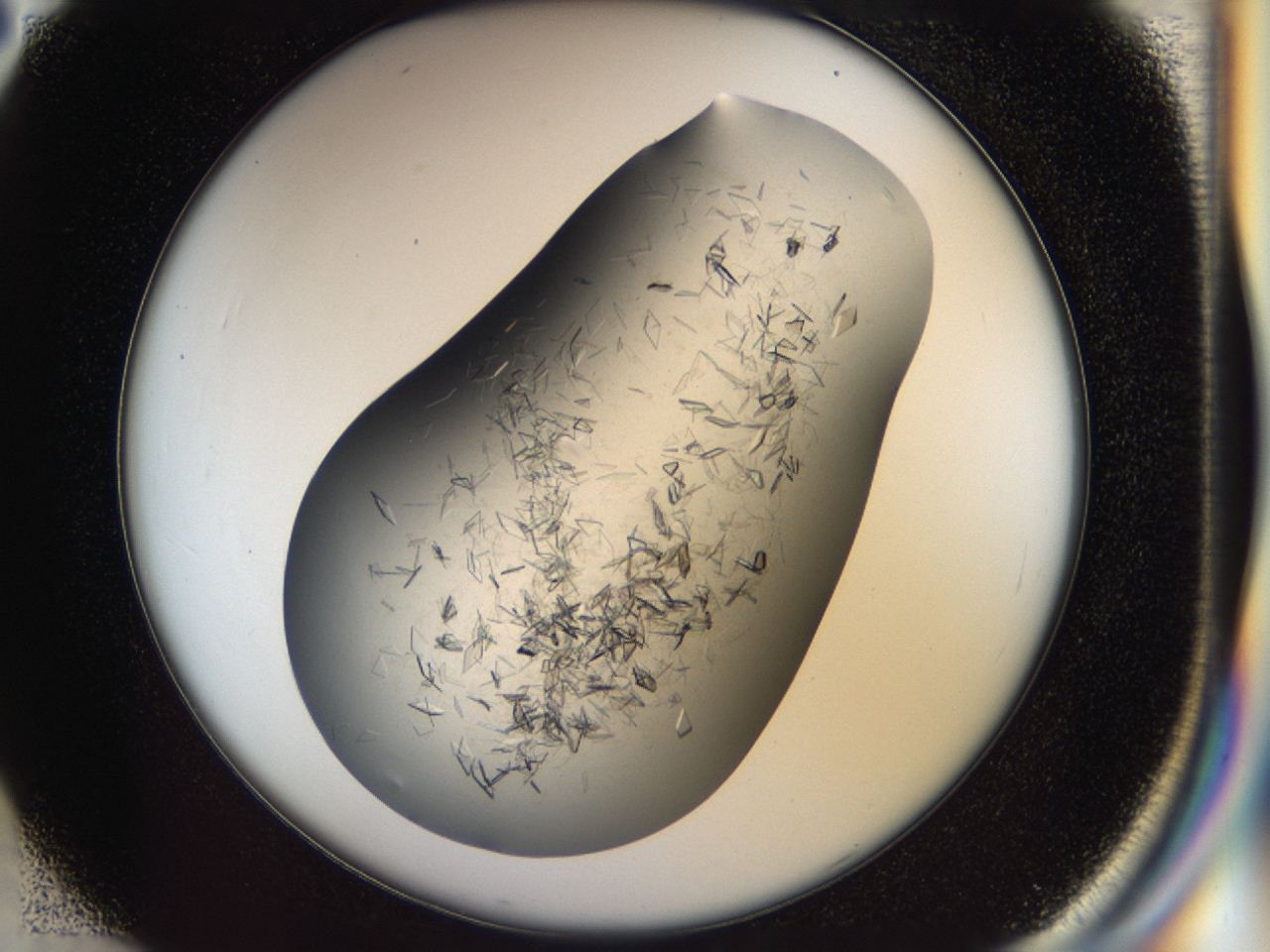 04cm_C2_ImagerDefaults_8.jpg