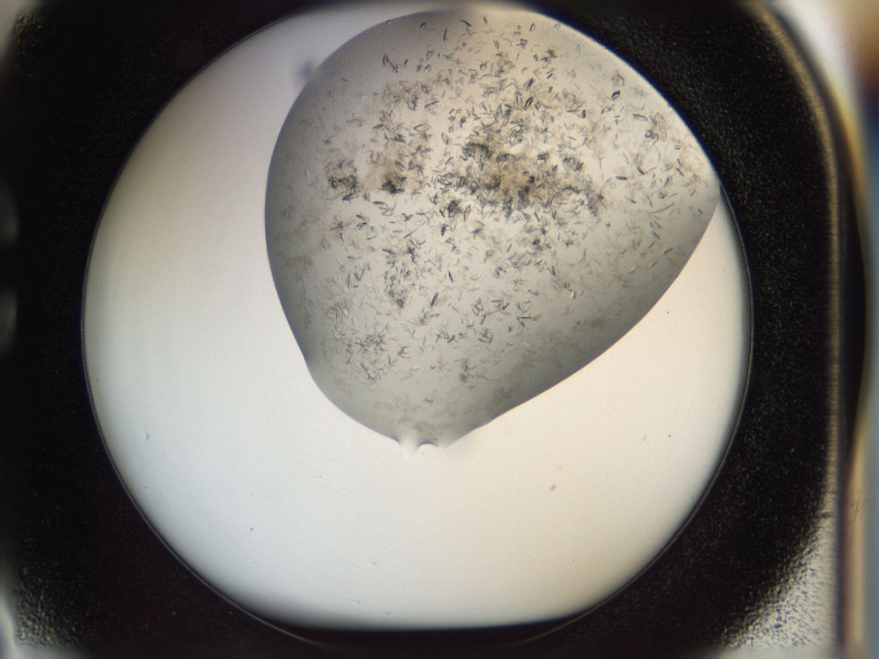 04cm_C3_ImagerDefaults_7.jpg