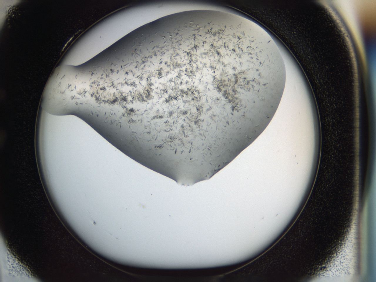 04cm_C4_ImagerDefaults_6.jpg
