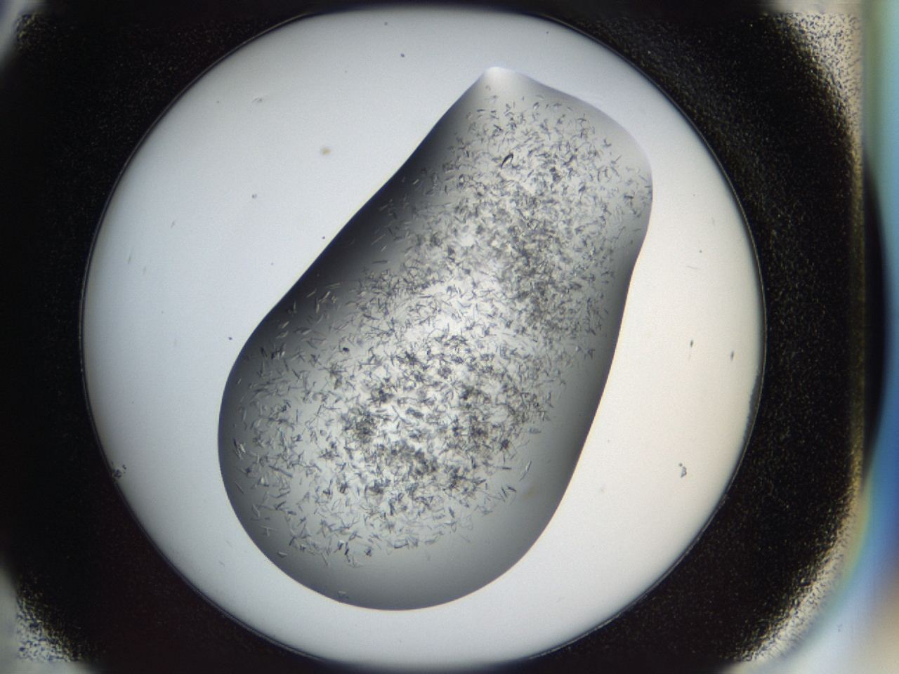 04cm_C6_ImagerDefaults_6.jpg