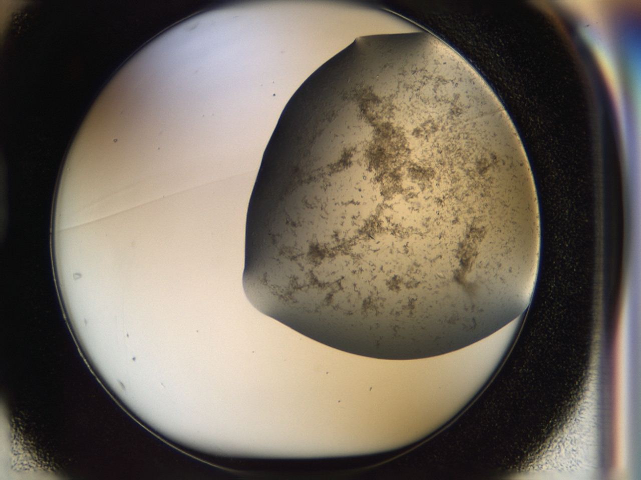 04cm_D1_ImagerDefaults_6.jpg