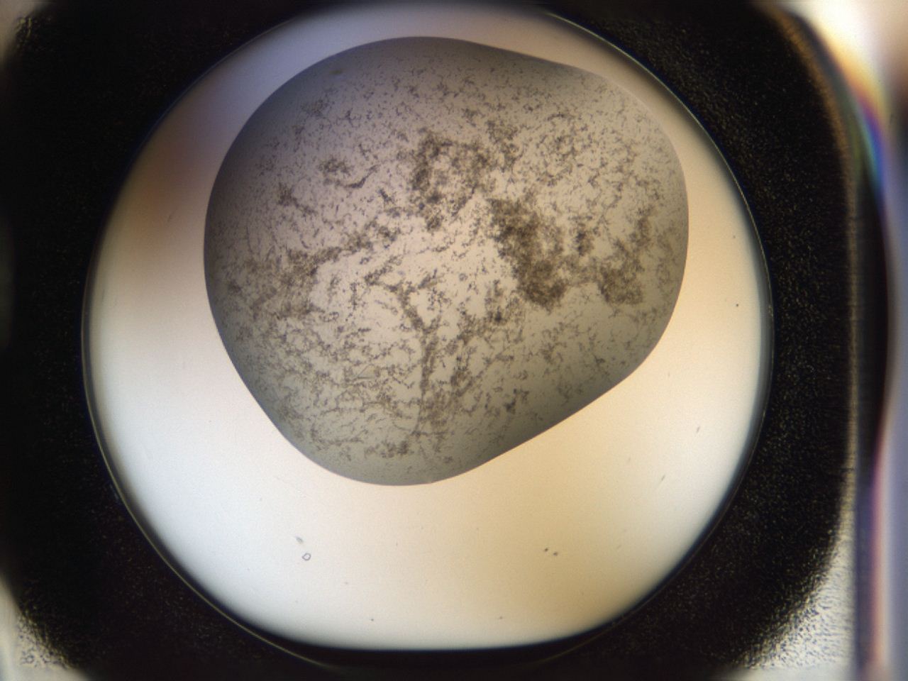 04cm_D2_ImagerDefaults_8.jpg