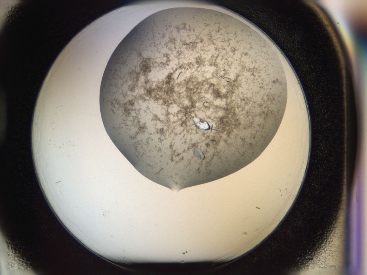 04cm_D3_ImagerDefaults_9.jpg