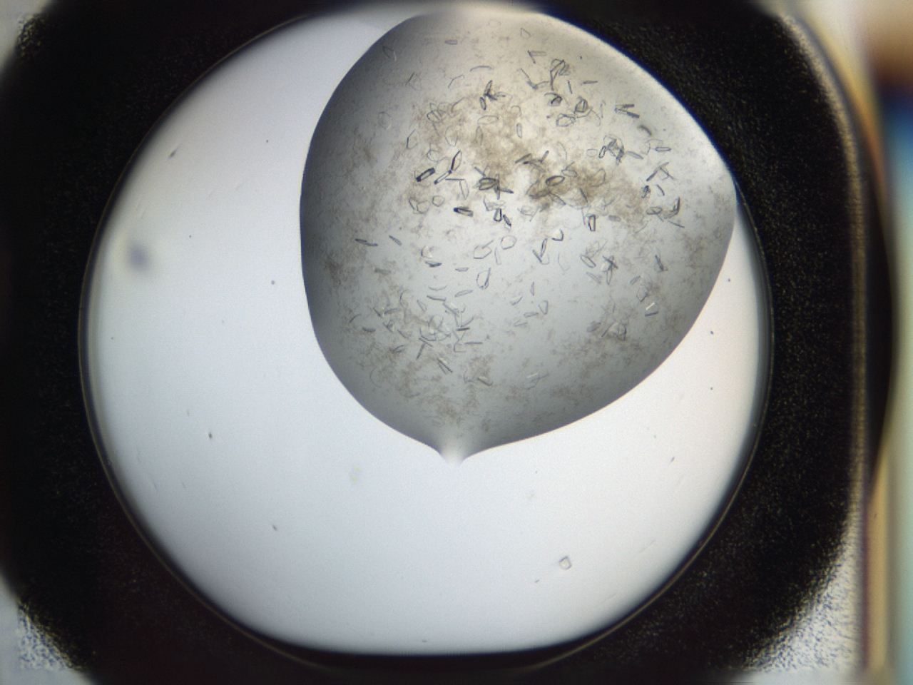 04cm_D4_ImagerDefaults_8.jpg