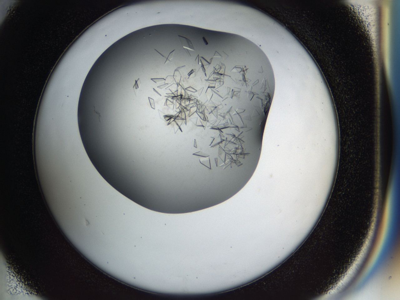 04cm_D4_ImagerDefaults_9.jpg