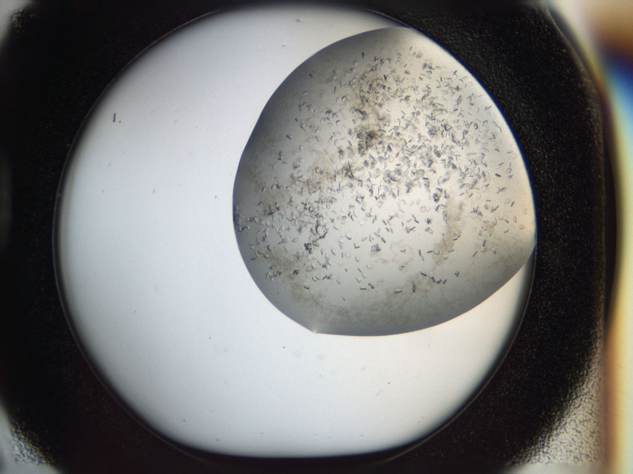 04cm_D6_ImagerDefaults_7.jpg