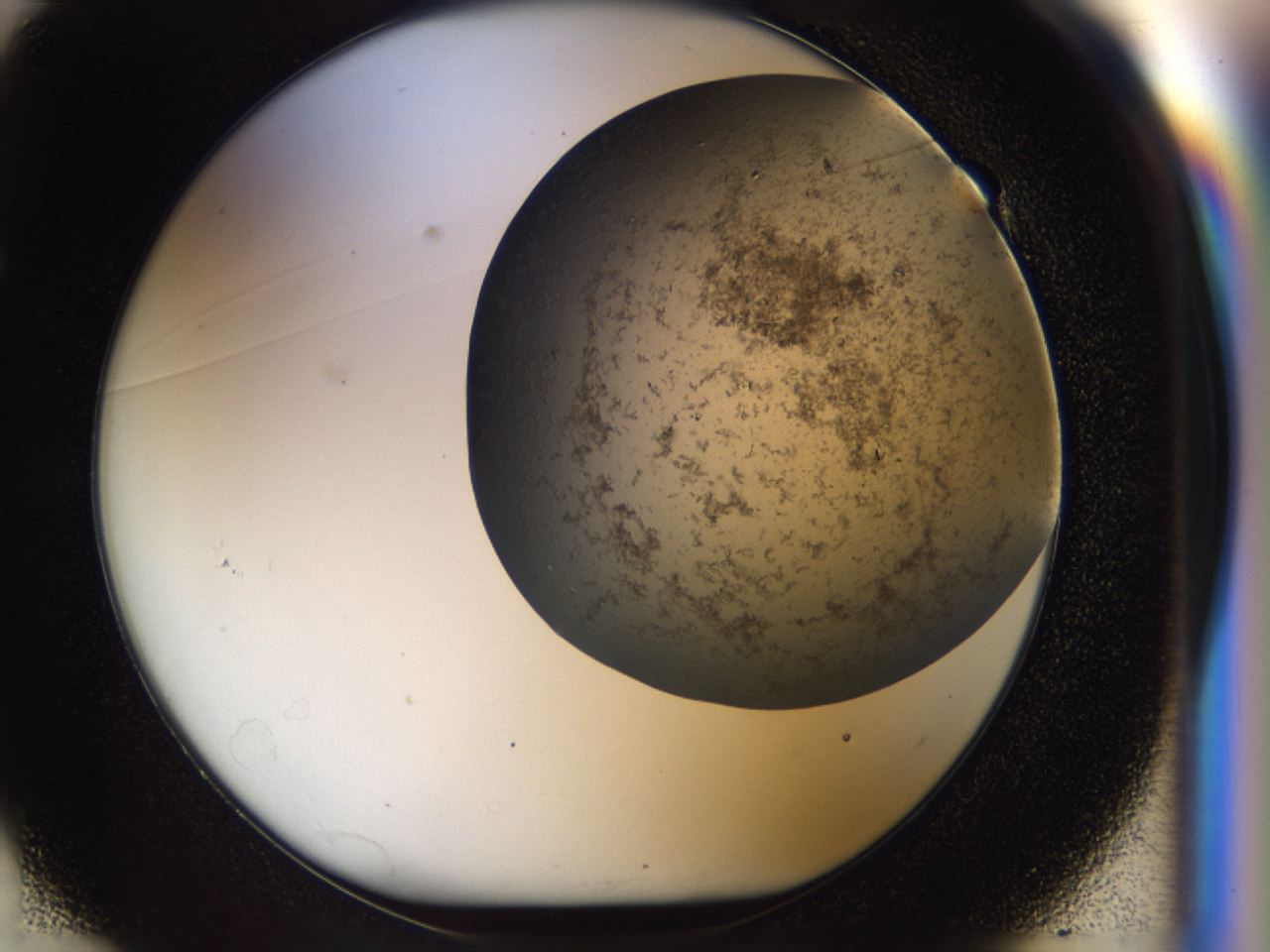 04cm_E1_ImagerDefaults_7.jpg