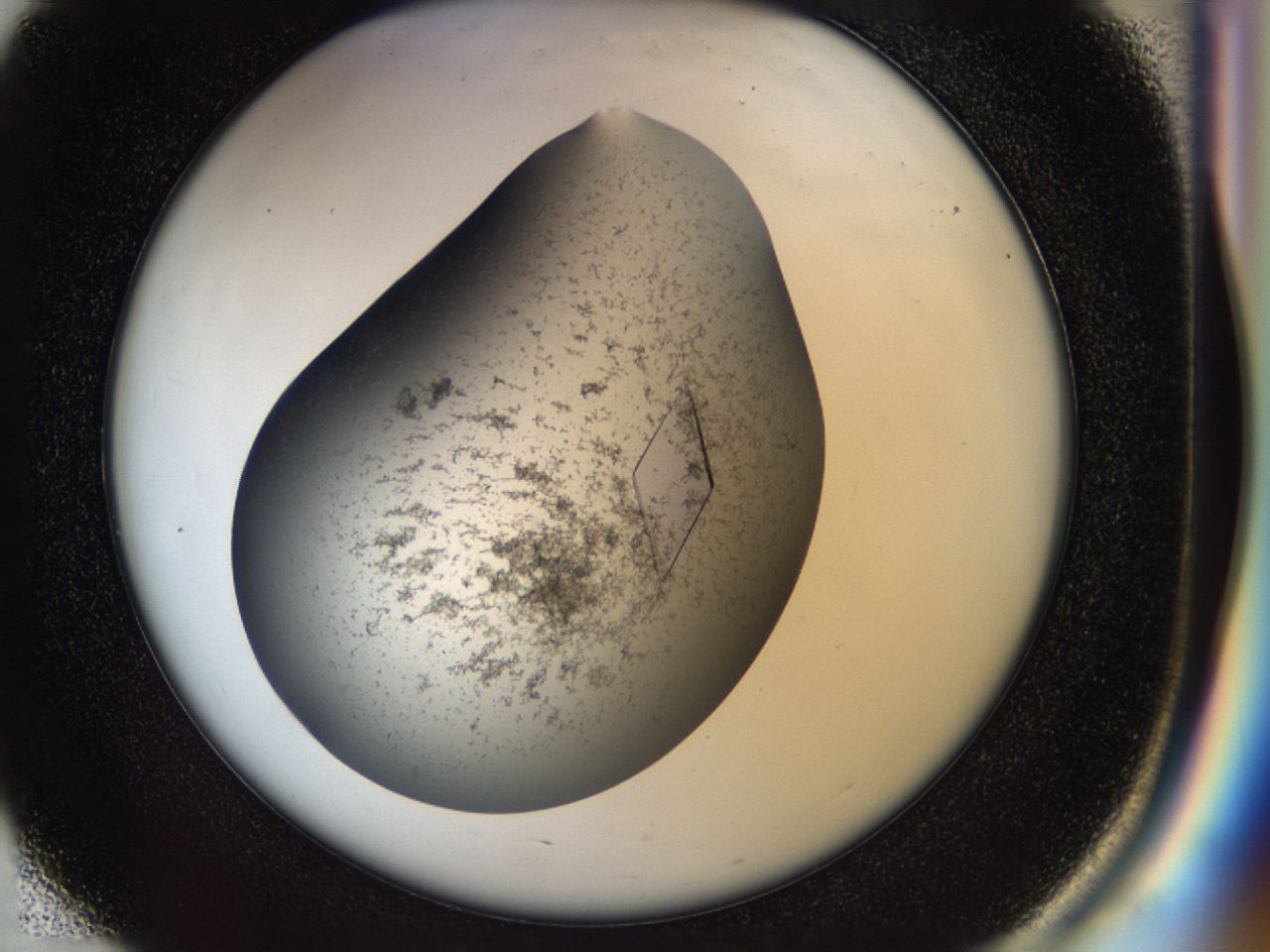 04cm_E3_ImagerDefaults_9.jpg