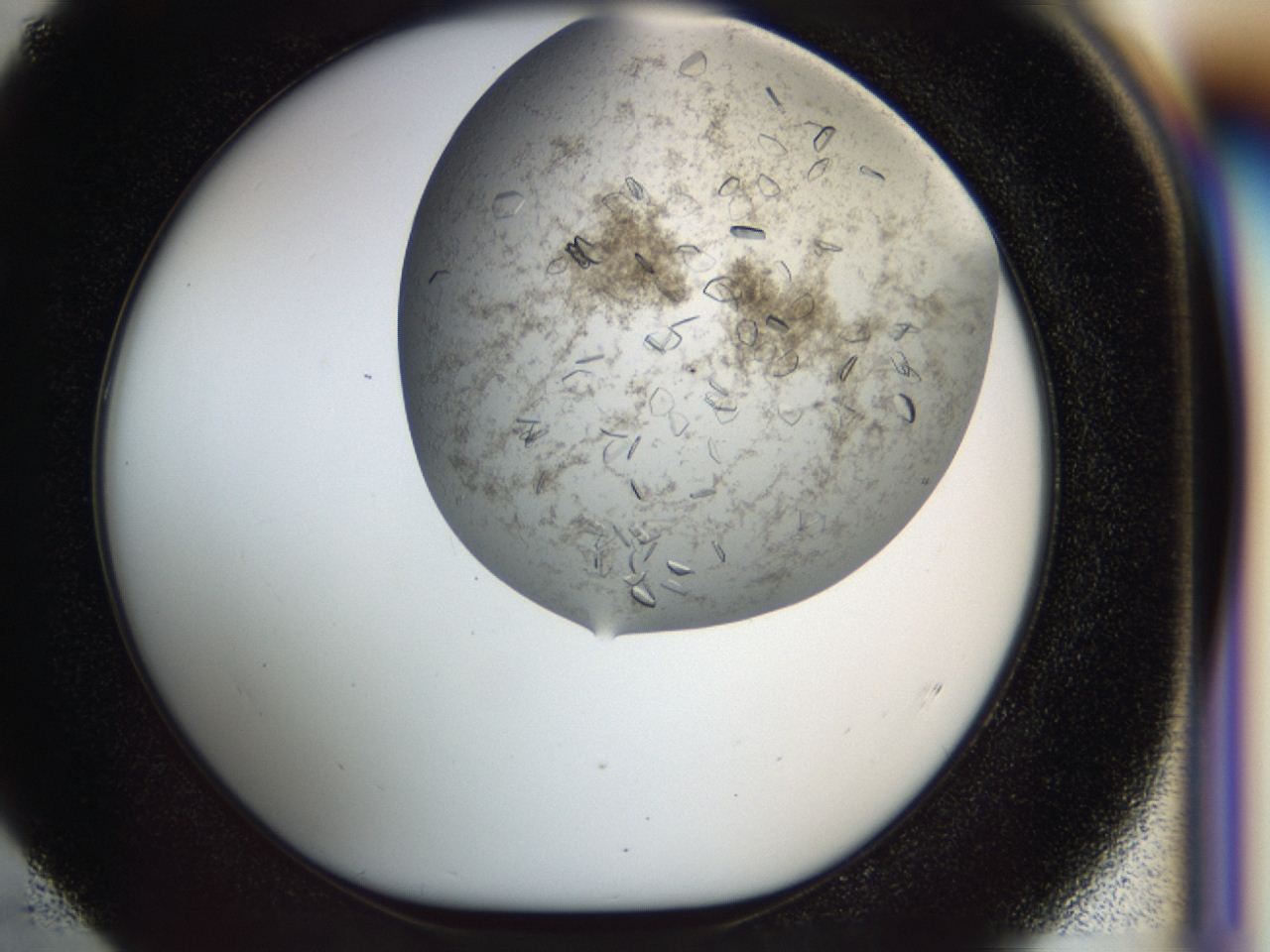 04cm_E4_ImagerDefaults_8.jpg