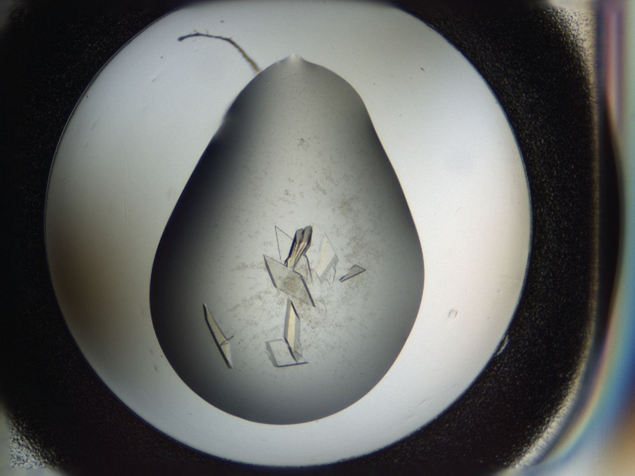 04cm_E4_ImagerDefaults_9.jpg