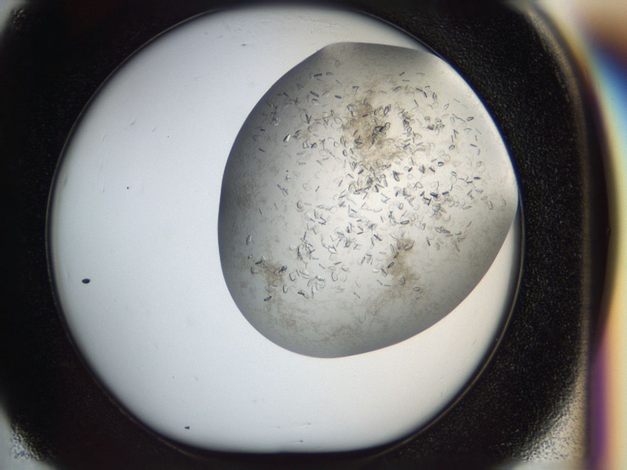 04cm_E5_ImagerDefaults_7.jpg
