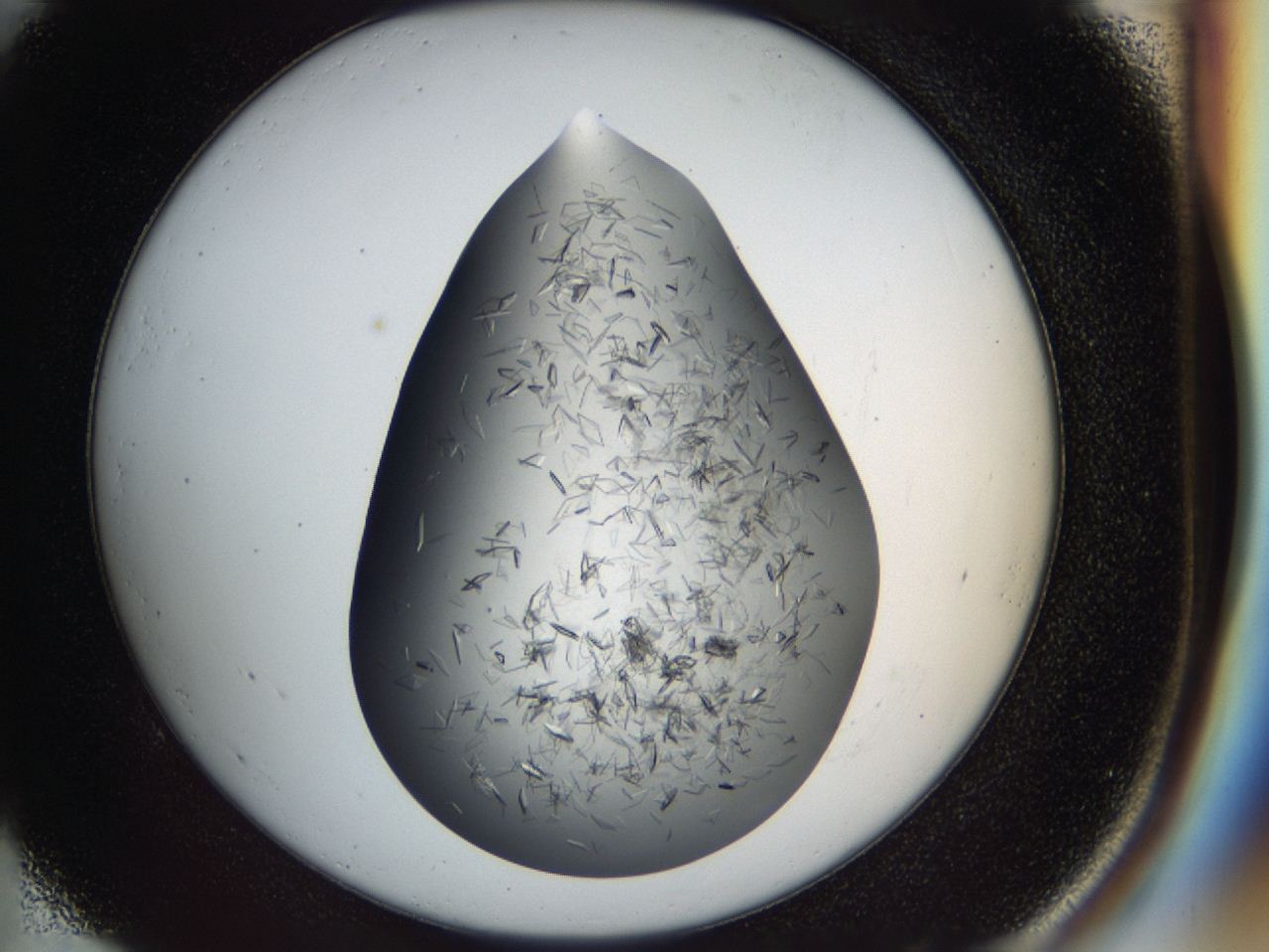 04cm_E5_ImagerDefaults_8.jpg