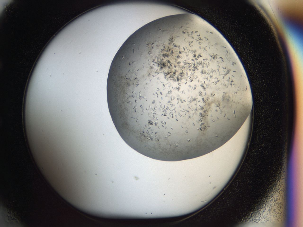 04cm_E6_ImagerDefaults_7.jpg