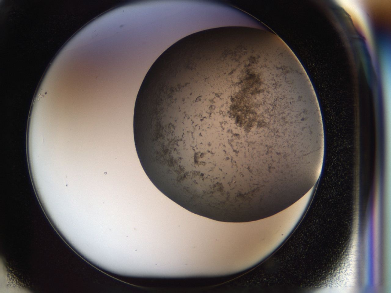 04cm_F1_ImagerDefaults_7.jpg