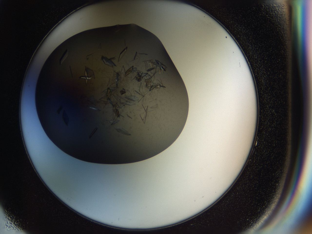 04cm_F4_ImagerDefaults_9.jpg